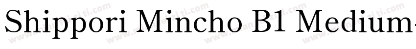 Shippori Mincho B1 Medium字体转换